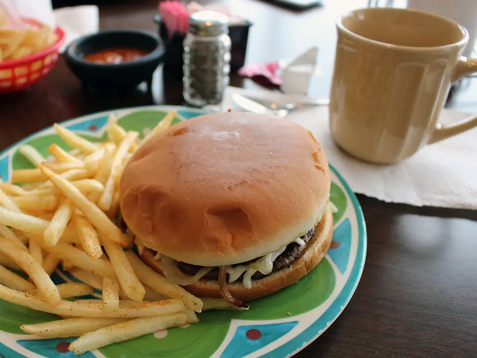 Hambúrguer com batatas fritas em prato colorido